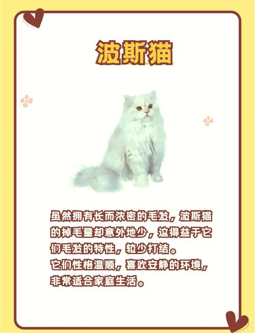 只换不修的猫腻是什么