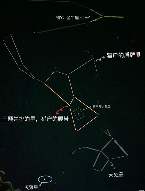 猎户座玄学解释
