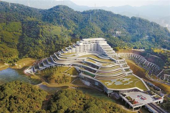 华大基因库和国家基因库图标
