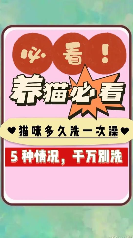 给猫洗澡的小技巧