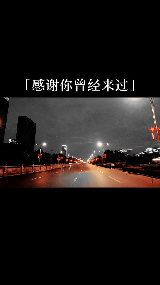 谢谢你来过我的世界的句子
