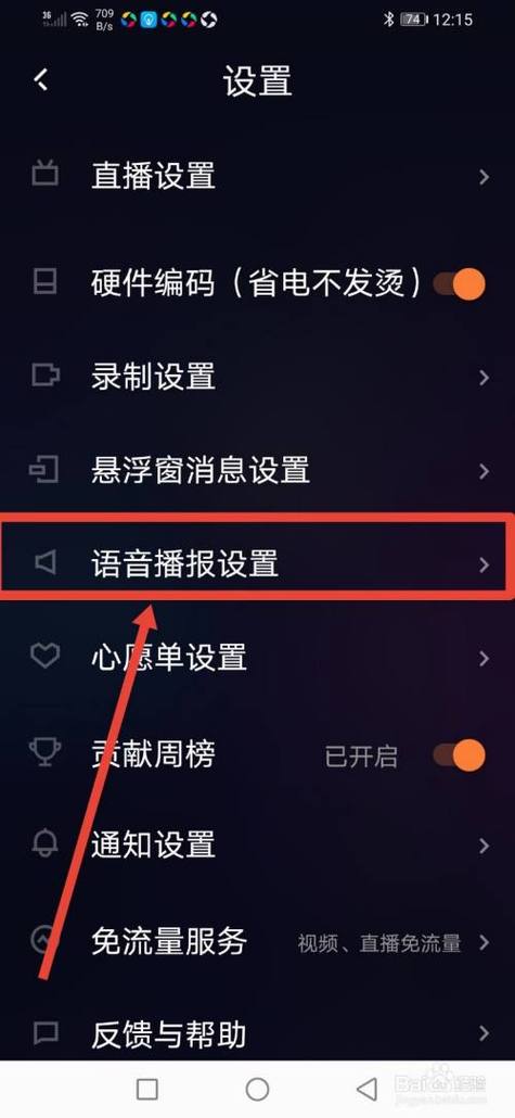 快手伴侣声音设置在哪