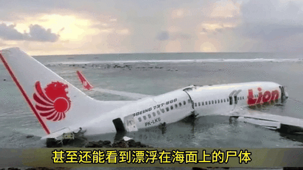 空难一男四女荒岛求生