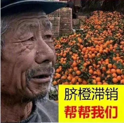 网红帮帮靠谱吗