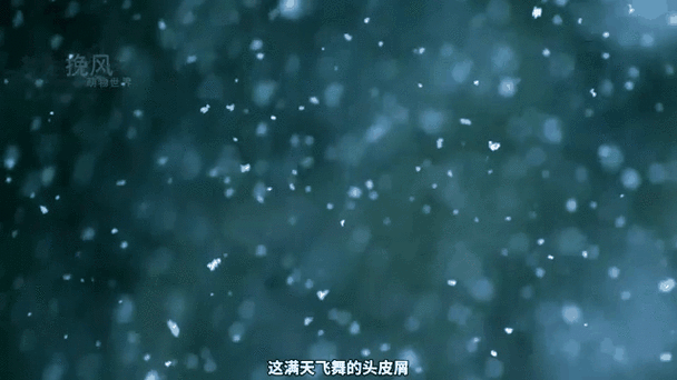 挽风图片图标