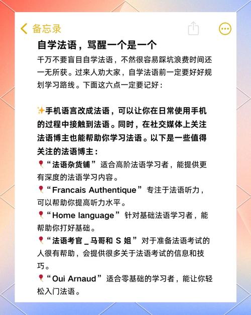 法语助手为什么不能用了图标
