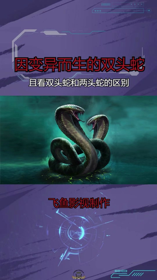 双头蛇菲律宾电影