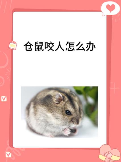 仓鼠咬人要打针吗