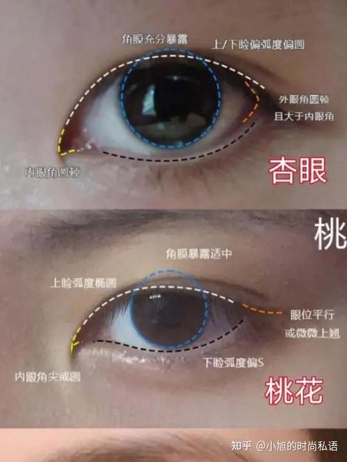 杏眼 桃花眼图标