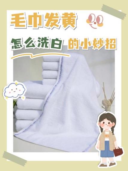 洗白小能手全集免费