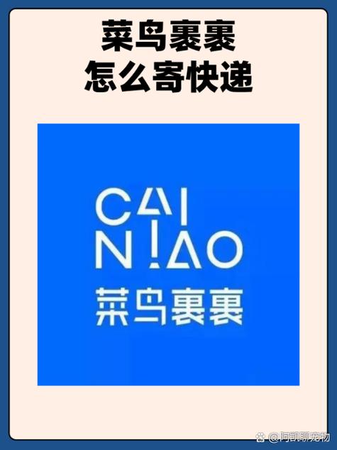 如何在菜鸟查看快递实时位置