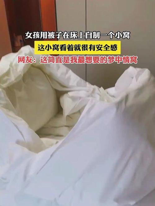 小学生自制小窝