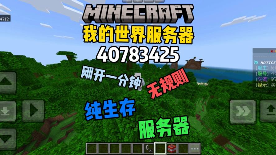 我的世界网易版开服务器