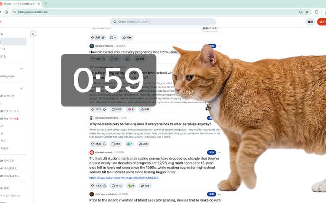 猫咪浏览器安装下载