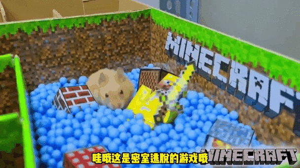 小仓鼠闯关大战僵尸