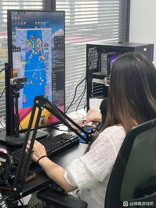 怎么查询斗鱼历史弹幕