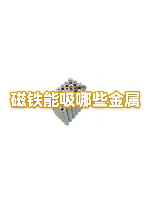 磁铁可以吸什么