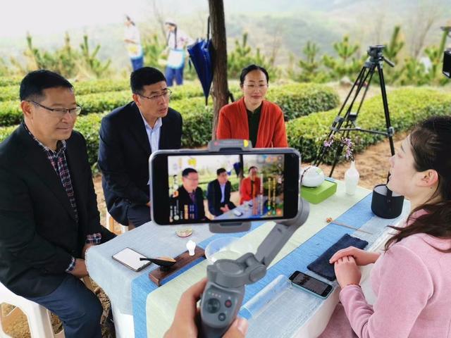 绿茶app直播