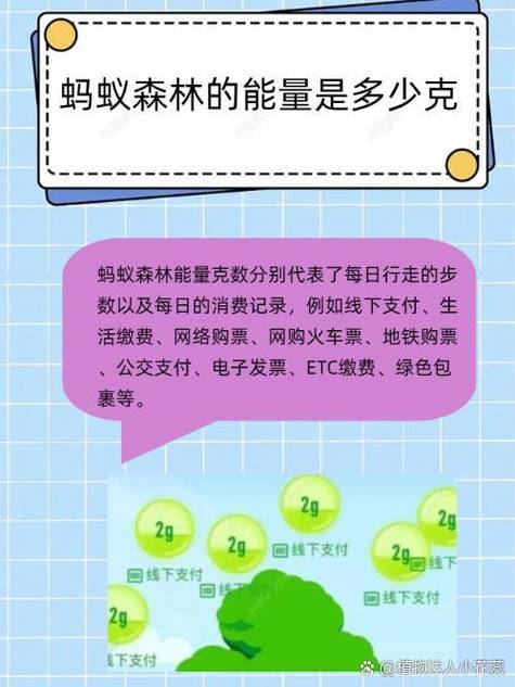 为什么蚂蚁森林没有行走能量