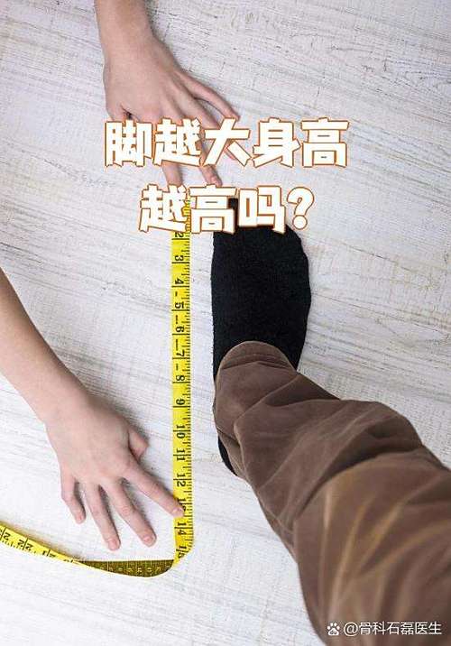 41码的脚一般人多高图标