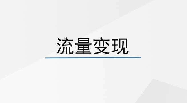 流量可以赚钱吗