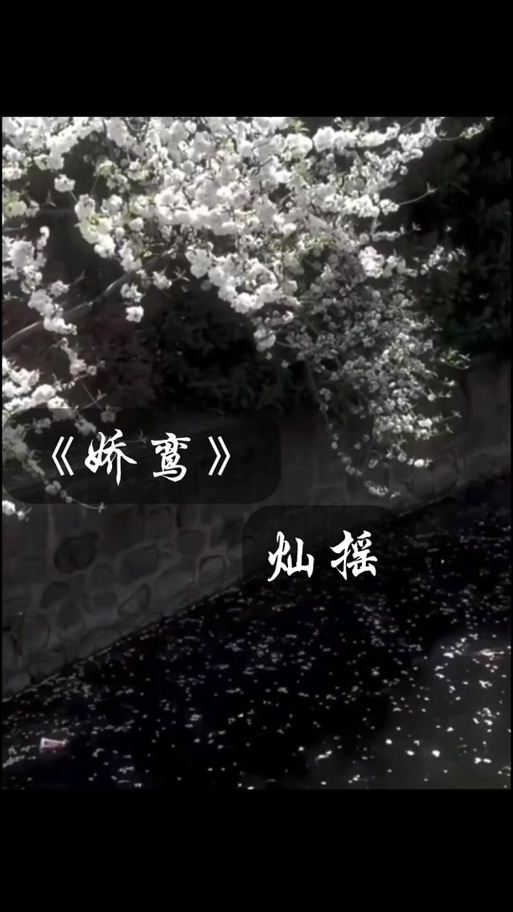 娇鸾txt