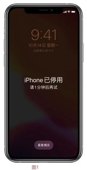 iphone11上滑解锁没有了