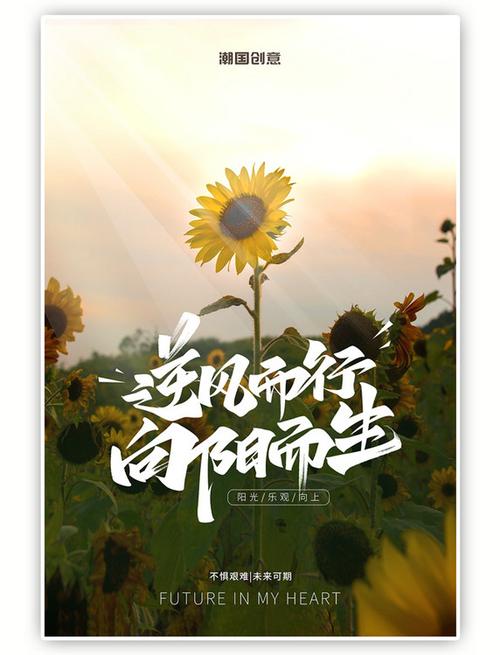 王鹤棣的逆袭之路