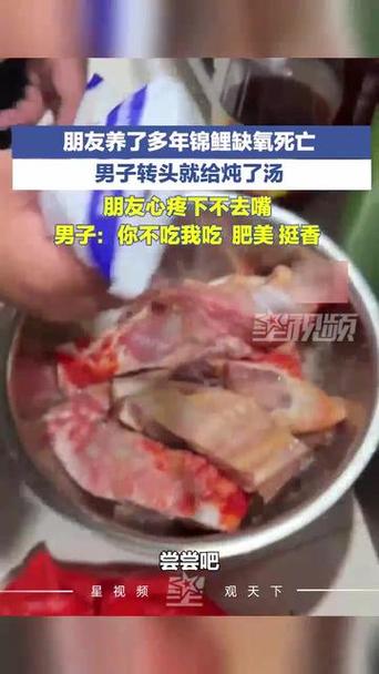朋友锦鲤死亡男子转头就煲汤图标