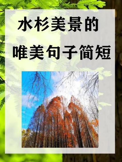 一句话赞美大自然图标