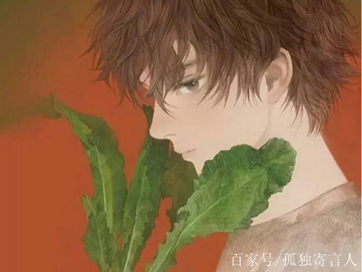 南风喃by飞鸟图标