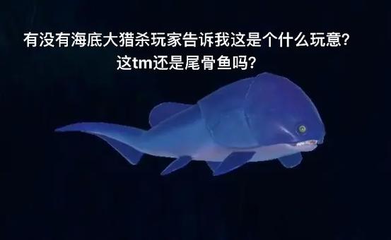 海底大猎杀