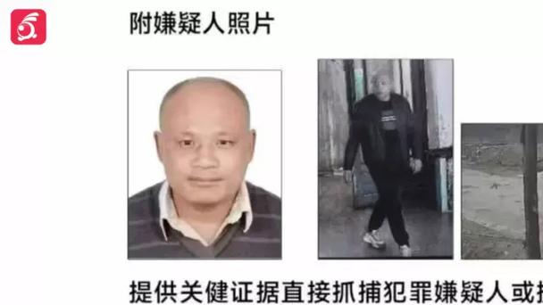 黑龙江海伦重大刑案嫌犯落网图标