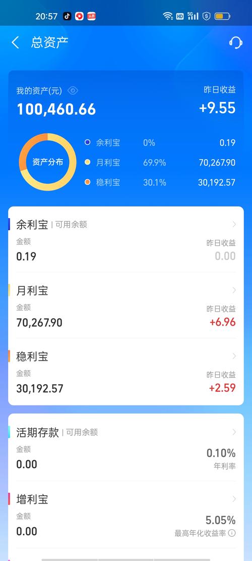 查看支付宝总支出图标