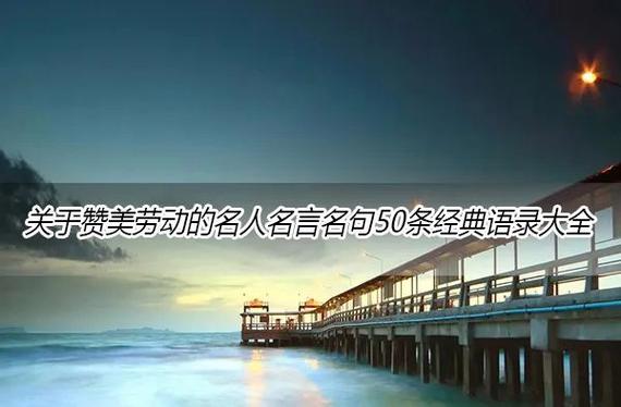 夸人的经典语录