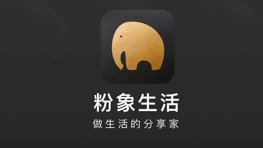 金像生活和粉象生活