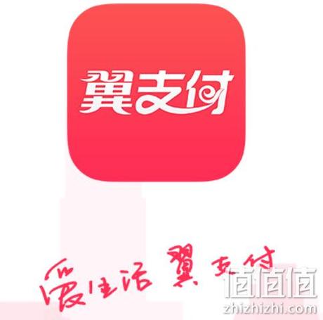 翼支付的权益金是什么图标