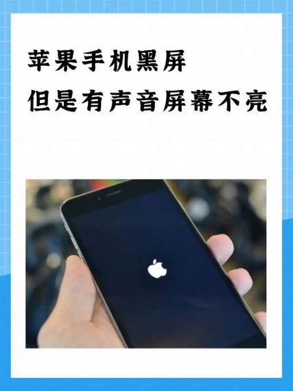 手机屏不亮了但是能响