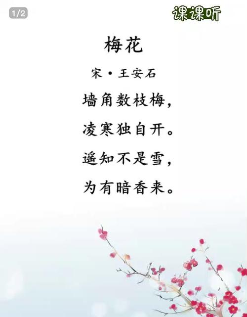 描写梅花的诗句古诗词图标