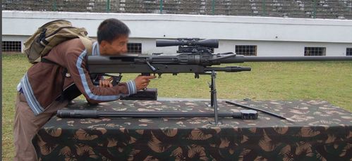 世界十大变态武器图标