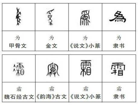 千字文甲骨文版图标