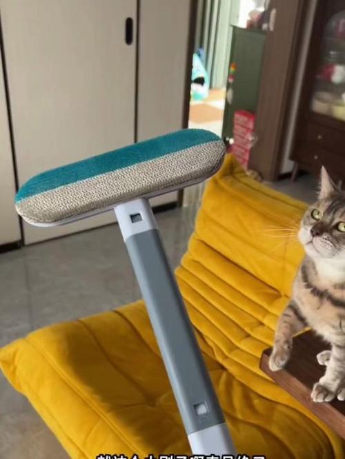 解决猫毛满屋飞的神器