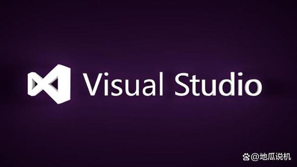 visual studio运行窗口闪退图标