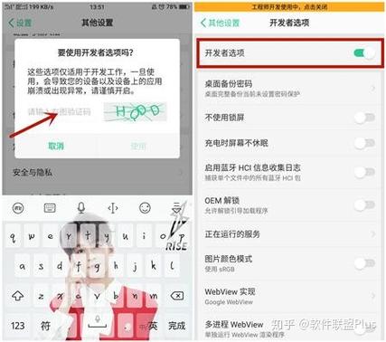 开发者选项oppo在哪图标