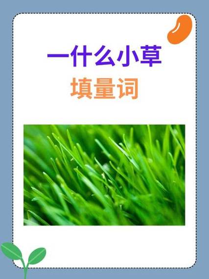 一什么黄牛填量词