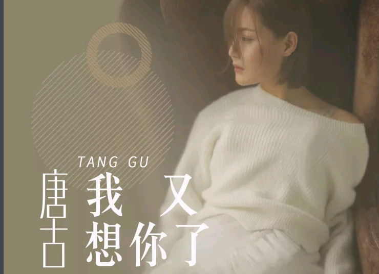 我又想你了真的想你了是什么歌