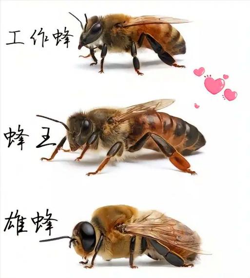 类似爱零工的还有哪些软件