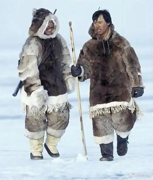 格陵兰岛能住人吗