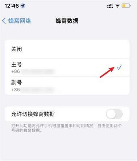 苹果13能用两个卡吗怎么设置图标