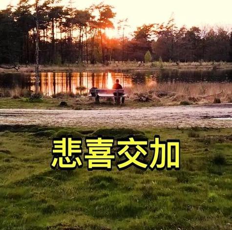 喜びかなしむ悲しむ图标